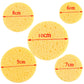 Natural Wood Pulp Makeup Sponge - Cellulose Cosmetic Puff Set
