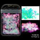 Holographic Nail Art Glitter - Laser Star Butterfly Sequins 2g