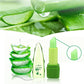 99% Aloe Vera Color Changing Lip Balm - Moisturizing Waterproof Treatment