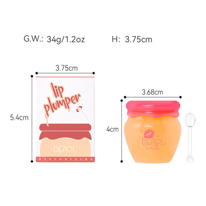 Ginger Mint Lip Plumper - Day & Night Moisturizing Treatment