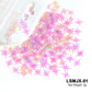 Holographic Nail Art Glitter - Laser Star Butterfly Sequins 2g