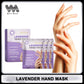 Lavender Hand Mask - Exfoliating Brightening Treatment (3 Pairs)