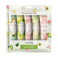 Avocado & Sakura Hand Cream Set - Moisturizing Repair Treatment (15 Pieces)