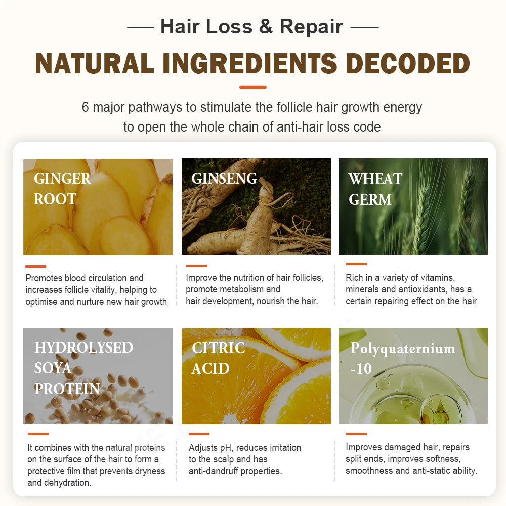 Hair Care Set - Shampoo, Conditioner & Growth Oil for Hair Loss Treatment 600ml