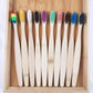 Colorful Bamboo Toothbrush Set - Charcoal Soft Bristle (10 Pack)